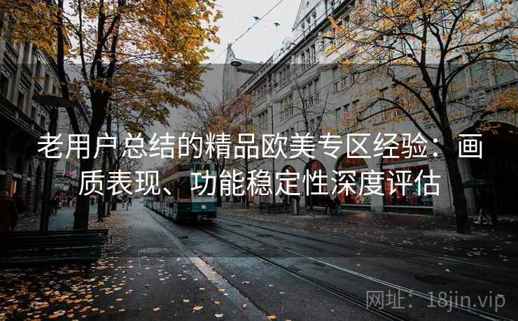 老用户总结的精品欧美专区经验：画质表现、功能稳定性深度评估
