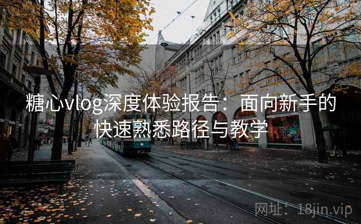 糖心vlog深度体验报告：面向新手的快速熟悉路径与教学