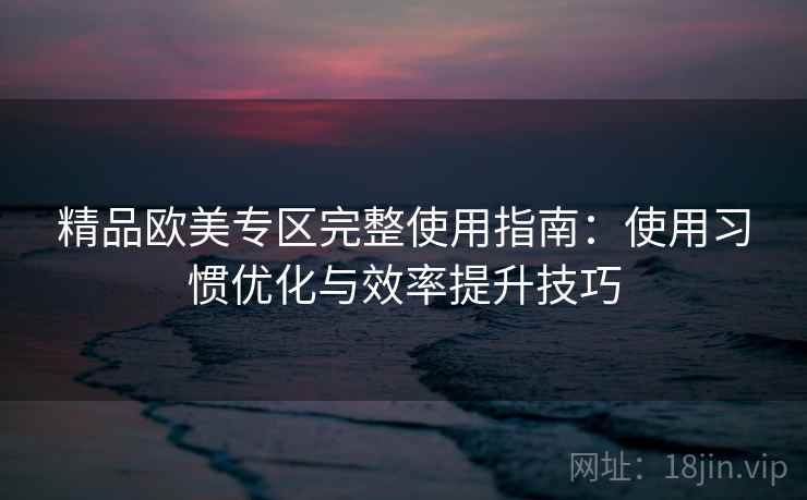 精品欧美专区完整使用指南：使用习惯优化与效率提升技巧