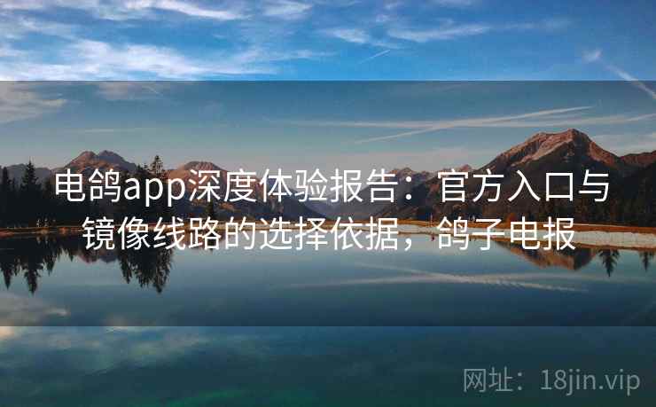 电鸽app深度体验报告：官方入口与镜像线路的选择依据，鸽子电报