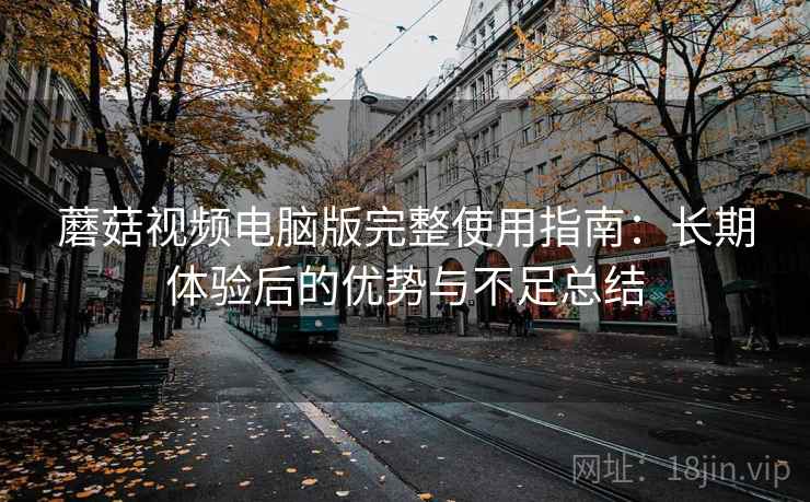蘑菇视频电脑版完整使用指南：长期体验后的优势与不足总结
