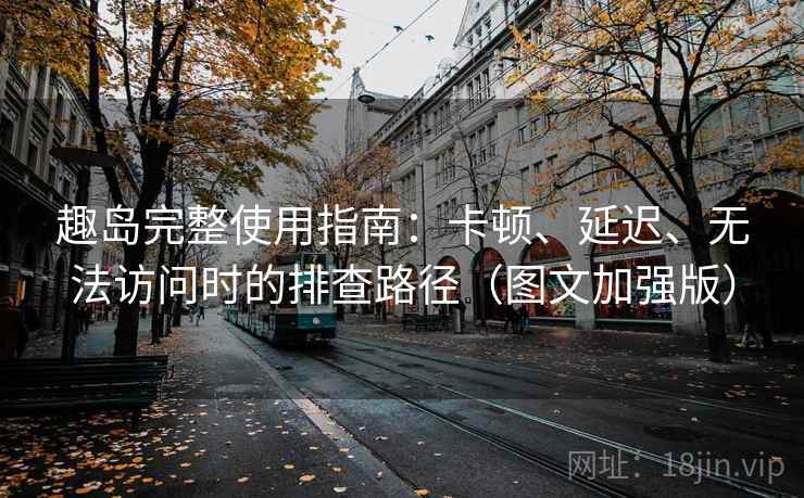 趣岛完整使用指南：卡顿、延迟、无法访问时的排查路径（图文加强版）