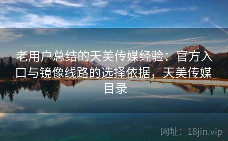 老用户总结的天美传媒经验：官方入口与镜像线路的选择依据，天美传媒 目录