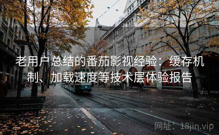 老用户总结的番茄影视经验：缓存机制、加载速度等技术层体验报告