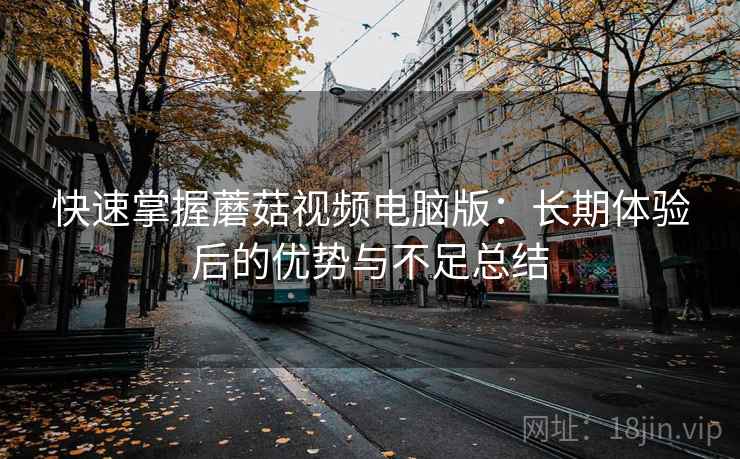 快速掌握蘑菇视频电脑版：长期体验后的优势与不足总结