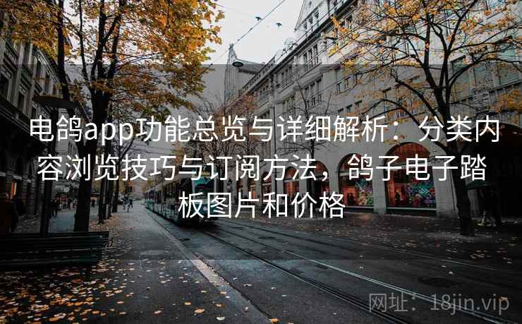 电鸽app功能总览与详细解析：分类内容浏览技巧与订阅方法，鸽子电子踏板图片和价格