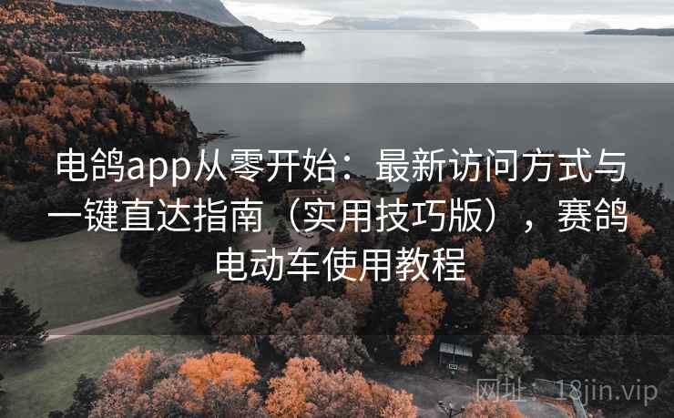 电鸽app从零开始：最新访问方式与一键直达指南（实用技巧版），赛鸽电动车使用教程