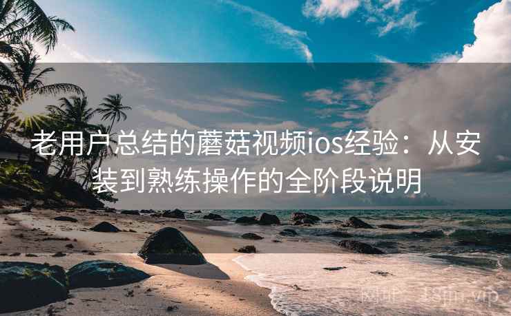 老用户总结的蘑菇视频ios经验：从安装到熟练操作的全阶段说明